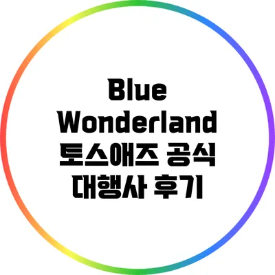 Blue Wonderland: 토스애즈 공식 대행사 후기