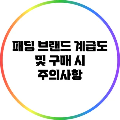 패딩 브랜드 계급도 및 구매 시 주의사항