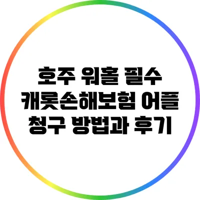 호주 워홀 필수: 캐롯손해보험 어플 청구 방법과 후기