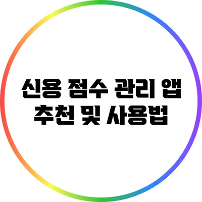 신용 점수 관리 앱 추천 및 사용법