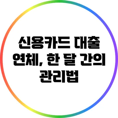 신용카드 대출 연체, 한 달 간의 관리법