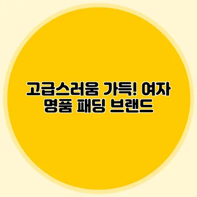 고급스러움 가득! 여자 명품 패딩 브랜드