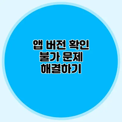 앱 버전 확인 불가 문제 해결하기
