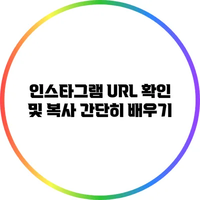 인스타그램 URL 확인 및 복사 간단히 배우기