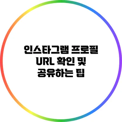 인스타그램 프로필 URL 확인 및 공유하는 팁