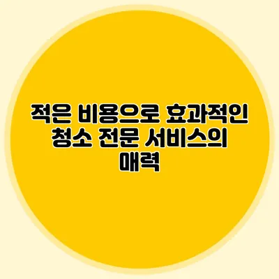 적은 비용으로 효과적인 청소: 전문 서비스의 매력