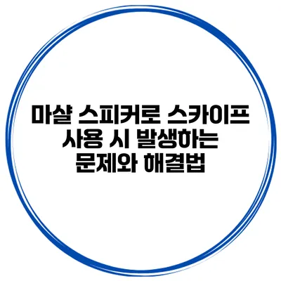 마샬 스피커로 스카이프 사용 시 발생하는 문제와 해결법