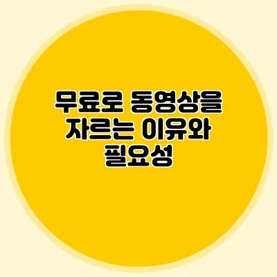 무료로 동영상을 자르는 이유와 필요성