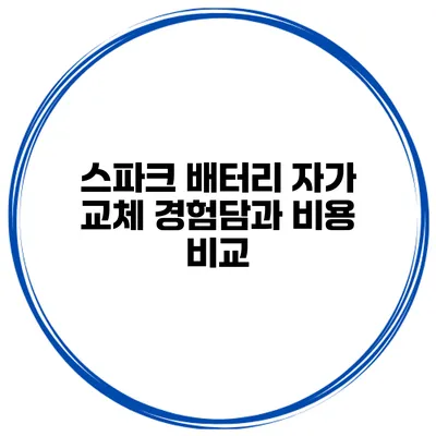 스파크 배터리 자가 교체 경험담과 비용 비교