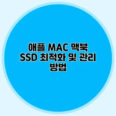 애플 MAC 맥북 SSD 최적화 및 관리 방법