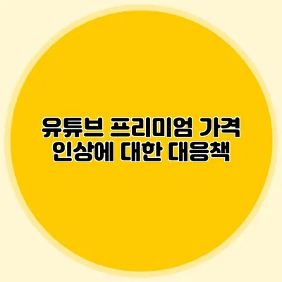 유튜브 프리미엄 가격 인상에 대한 대응책
