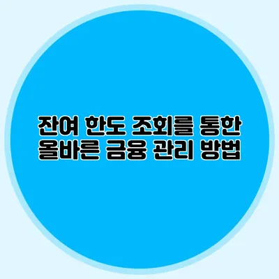 잔여 한도 조회를 통한 올바른 금융 관리 방법