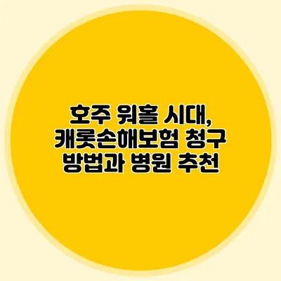 호주 워홀 시대, 캐롯손해보험 청구 방법과 병원 추천